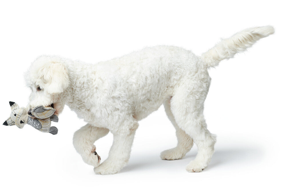 BILLUND Fox Dog toy - Hunter-petstore -dog toy for cuddling and sniffing games -for dogs of all sizes and ages -made from 100% recycled materials -without squeaker -with or without filling depending on model -can be easily picked up and retriever -playmat: ideal for physical and mental exercise -9.06 in