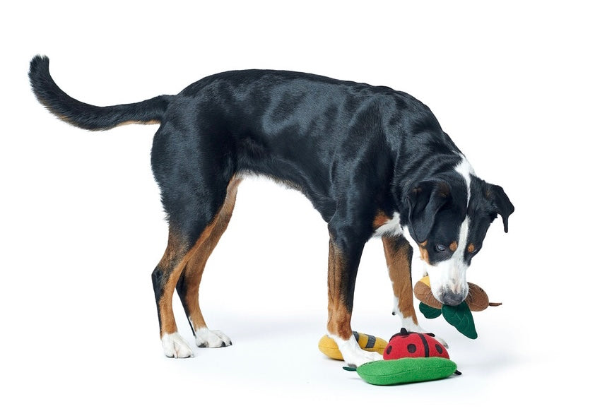 FLORENZ Ladybug Dog toy - Hunter-petstore -cute toy in insect look, without squeaker -for small and medium-sized dogs -pleasantly grippy material mix -for playing, cuddling and loving -made from up-cycled outer material and recycled filling -washable at 90 °F -8.66 in