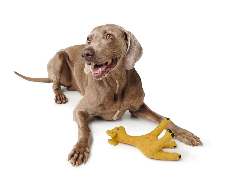 EIBY Giraffe Dog toy - Hunter-petstore -cute animal dog toy, without squeaker -for playing, cuddling and loving -made of up-cycled outer material and recycled filling -attractive yet tough wool/polyester mix -machine washable at 86 °F