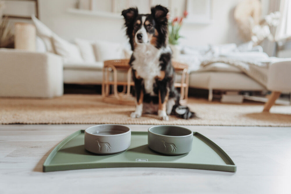 OSBY Ceramic Bowl - Hunter-petstore -feeding or drinking bowl made of ceramic -subtle HUNTER dog embossing -high weight ensures a secure stand -slip-resistant silicone rim on the bottom -long-lasting and scratch resistant -easy to clean and dishwasher-safe -food safe