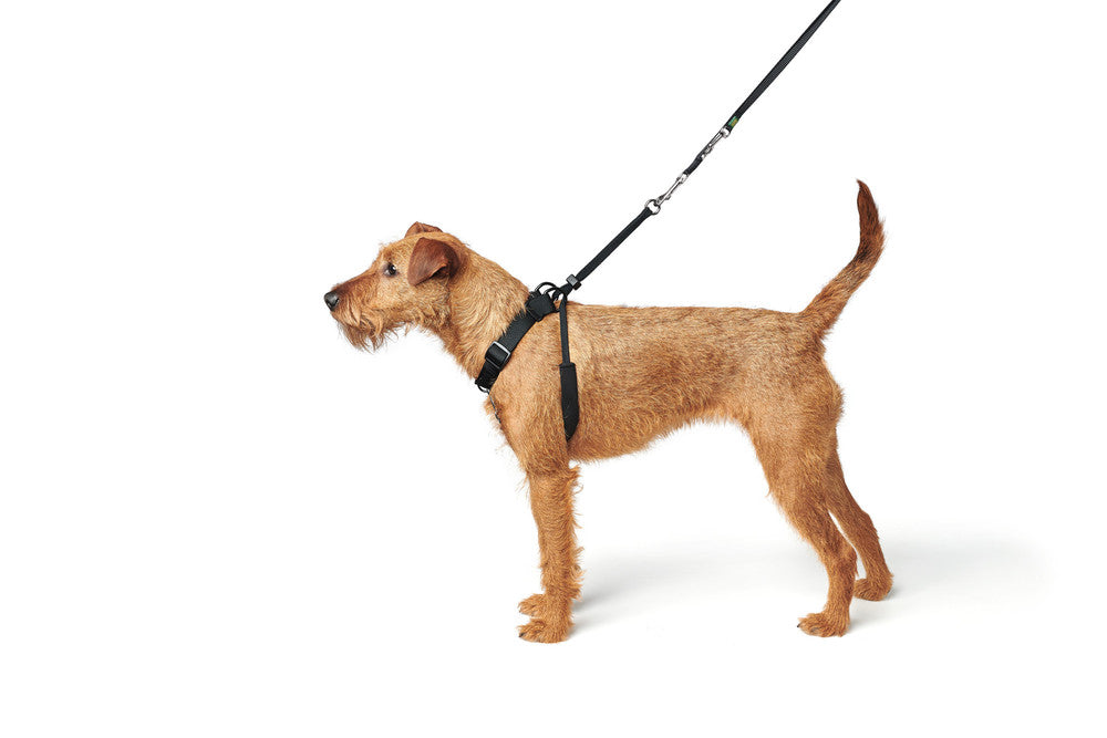 SIDE-BY-SIDE Harness - Hunter-petstore -Ideal training harness recommended by many dog obedience school -Designed to help dogs learn to walk comfortably beside their owners -Particularly beneficial for puppies during training sessions - Facilitates close and controlled walking experiences