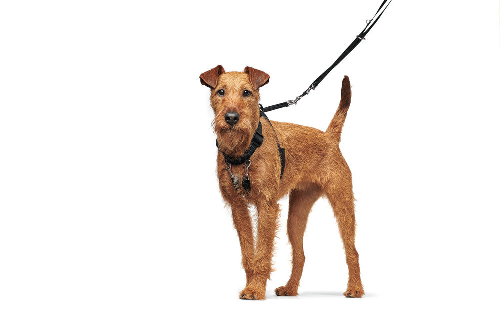 SIDE-BY-SIDE Harness - Hunter-petstore -Ideal training harness recommended by many dog obedience school -Designed to help dogs learn to walk comfortably beside their owners -Particularly beneficial for puppies during training sessions - Facilitates close and controlled walking experiences