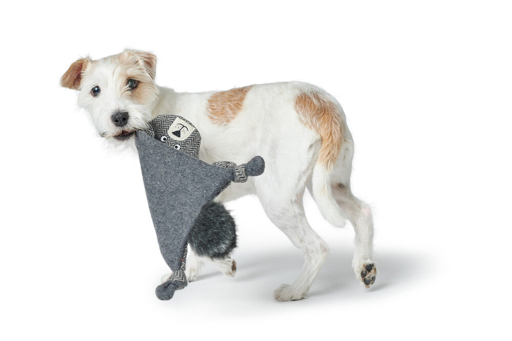 BILLUND Flat Bear Dog toy - Hunter-petstore -dog toy for cuddling and sniffing games -for dogs of all sizes and ages -made from 100% recycled materials -without squeaker -with or without filling depending on model -can be easily picked up and retrieved -play-mat: ideal for physical and mental exercise -15.75 in