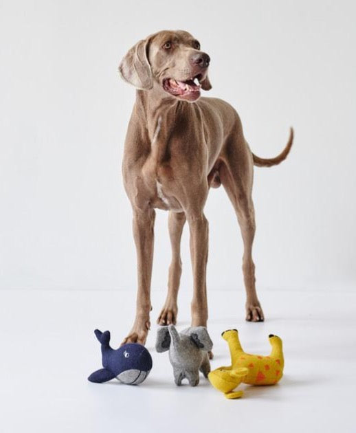 EIBY Whale Dog toy - Hunter-petstore -cute animal dog toy, without squeaker -for playing, cuddling and loving -made of up-cycled outer material and recycled filling -attractive yet tough wool/polyester mix -machine washable at 86°F