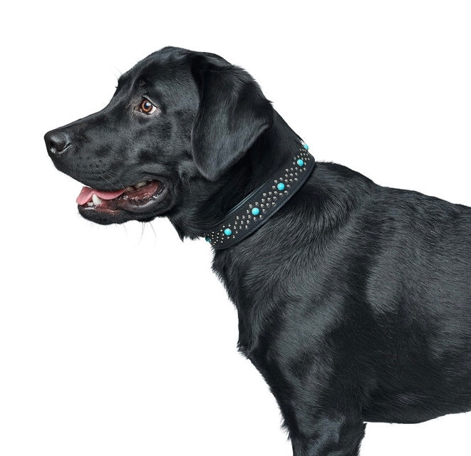 MADONA Collar - Hunter-petstore -classic collar, universally useable -particularly tough and hard-wearing leather -with decorative trimmings -with leather key ring -made in Germany