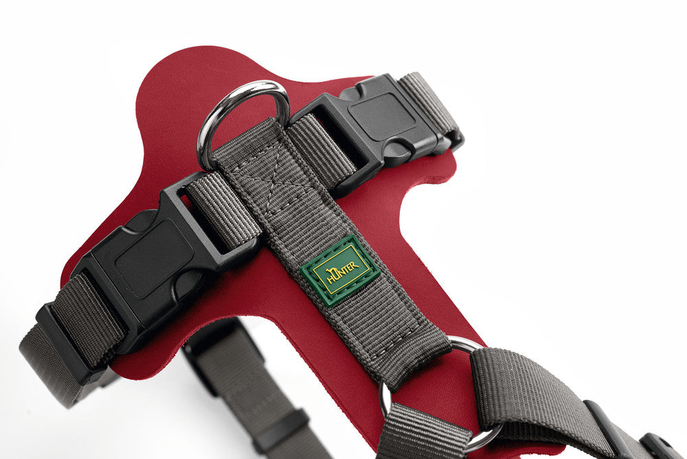 AALBORG Mixed Harness - Hunter-petstore -combination of cowhide leather and nylon -5-way adjustment -with light plastic clasp -made in Germany