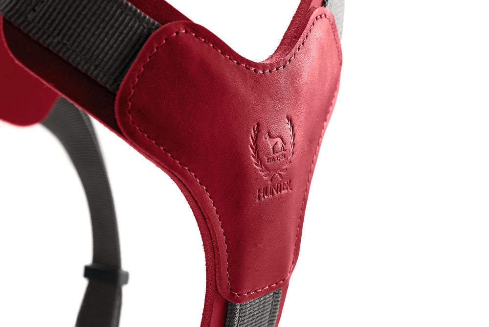 AALBORG Mixed Harness - Hunter-petstore -combination of cowhide leather and nylon -5-way adjustment -with light plastic clasp -made in Germany
