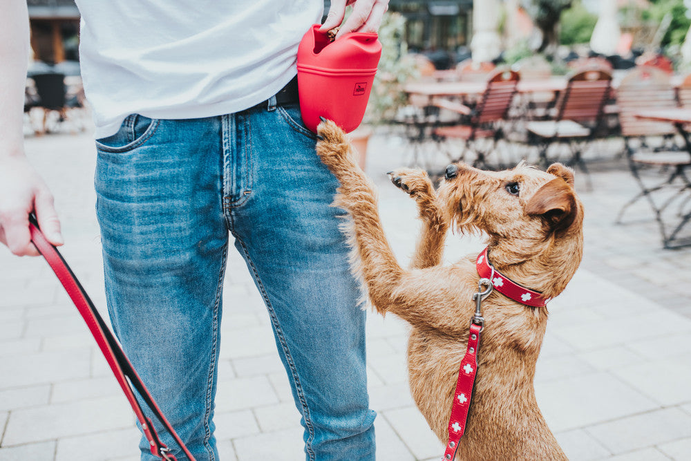 LUGO Silicone Belt Bag - Hunter-petstore -fillable snack bag for dog training -ideal for on the go -particularly easy to clean -closes securely thanks to magnetic closure -can be attached to a belt or the like -food safe