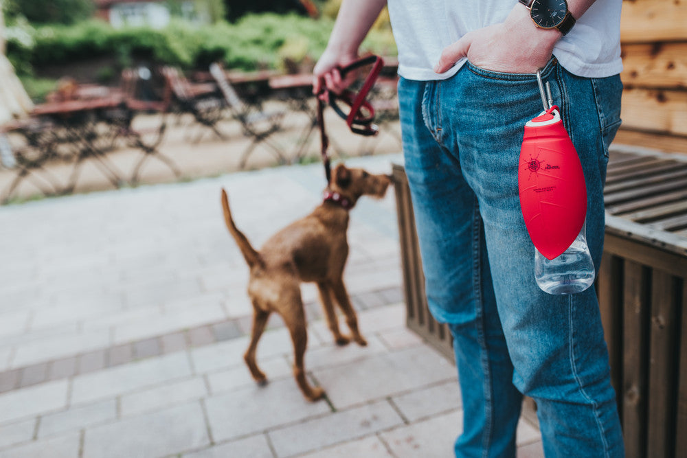 LIST Drinking bottle - Hunter-petstore -2-in 1 drinking bottle with bowl -with food-safe silicone bowl -ideal for traveling and on the road -pouring device also separately applicable to commercially available bottles -easy to clean and washable
