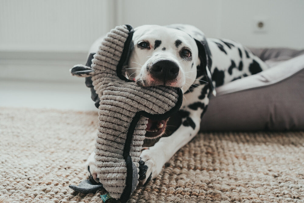 KOLDING Horse Dog toy - Hunter-petstore -with squeaker -robust mix of materials -washable at 90 °F -14.17 in