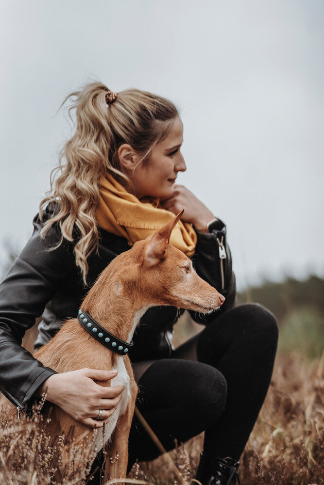 MODICA Collar - Hunter-petstore -classic collar, universally useable -particularly tough and hard-wearing leather -with decorative trimmings -with leather key ring -made in Germany