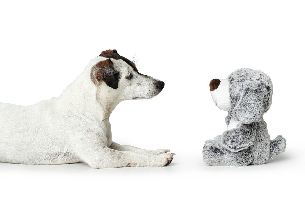 FARO Dog Dog toy - Hunter-petstore -polyester -without squeaker -particularly soft -hand wash -7.48 in