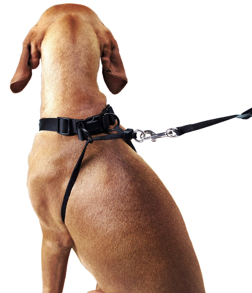 SIDE-BY-SIDE Harness - Hunter-petstore -Ideal training harness recommended by many dog obedience school -Designed to help dogs learn to walk comfortably beside their owners -Particularly beneficial for puppies during training sessions - Facilitates close and controlled walking experiences