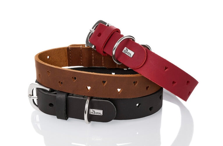 AALBORG Soul Collar - Hunter-petstore -classic collar, universally usable -especially well-suited to use in dog sports due to a liberal application of oil -particularly tough and hard-wearing leather -with charming heart punching -made in Germany