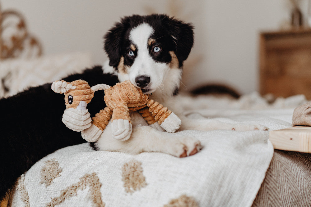 HUGGLY ZOO Giraffe Dog toy - Hunter-petstore -dog toy to cuddle and love -suitable for small and medium-sized dogs -cute design -with tooth-caring rope -without squeaker -washable at 90 °F -9.45 in