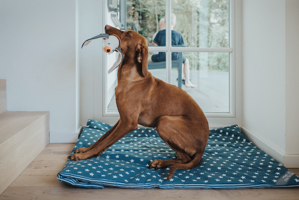 CANVAS Seagull Dog toy - Hunter-petstore -dog toy for playing, cuddling and loving -suitable for medium to large dogs -detailed animal look with a rough look and raw edge seams -with squeaker -washable at 90 °F