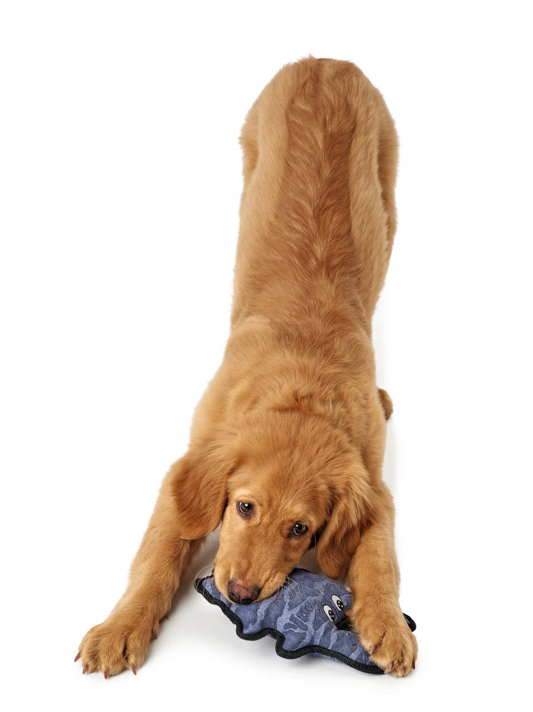 BRISBANE Gator Dog toy - Hunter-petstore -dog toy for playing, cuddling and loving -for medium to large dogs -funny animal look with pleasantly firm surface -can be easily picked up and retrieved -with reinforced seams for more stability -14.96 in