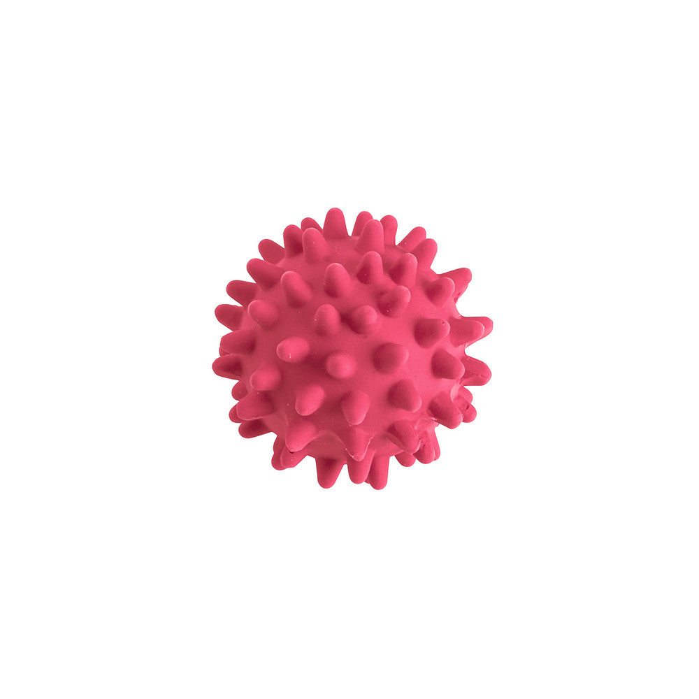HEDGEHOG Ball Dog Toy - Hunter-petstore -latex toy -with squeaker -sorted colors