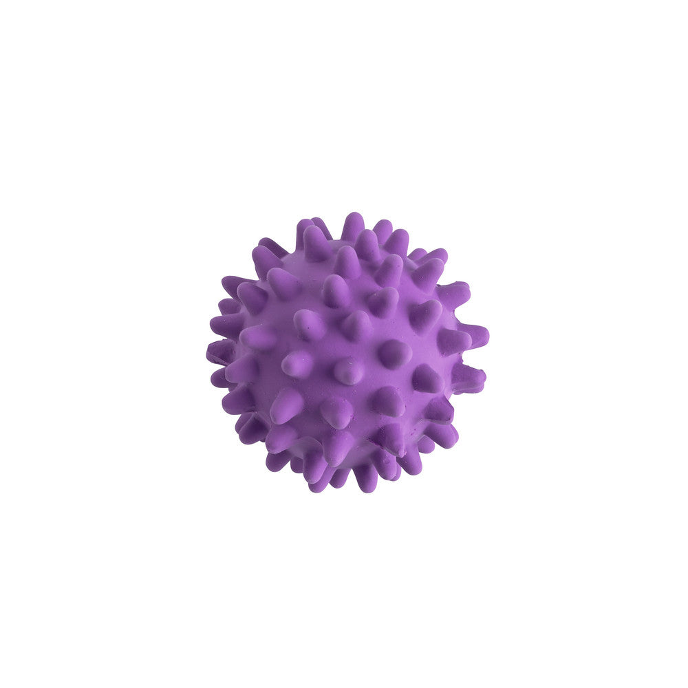 HEDGEHOG Ball Dog Toy - Hunter-petstore -latex toy -with squeaker -sorted colors