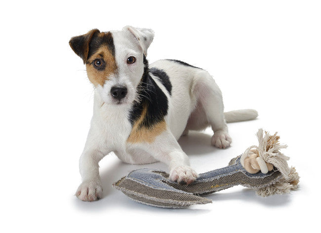 CANVAS Anchor Dog toy - Hunter-petstore -Made from sturdy cotton with polyester filling -Features rope and raw-edge seams for chewing and play - Contains squeaker for extra amusement -Machine washable up to 86°F -CE certified, meeting European child toy safety regulations