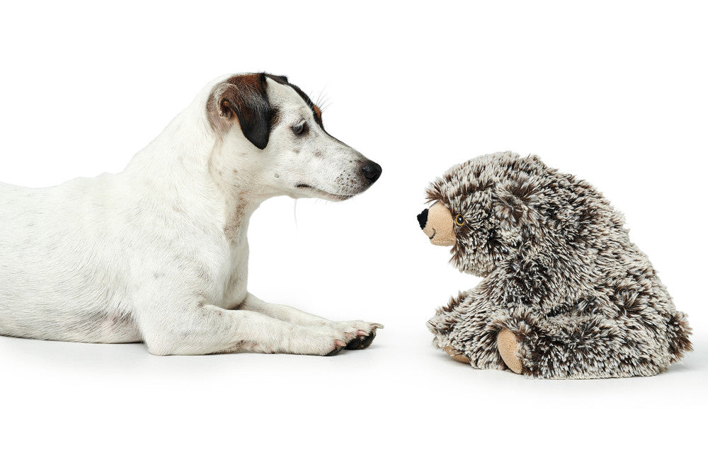 FARO Bear Dog toy - Hunter-petstore -polyester -without squeaker -particularly soft -hand wash -6.3 in