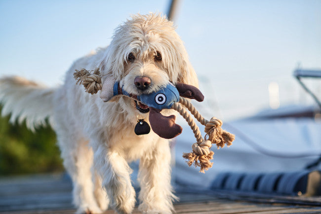 SANSIBAR Lobster Dog toy - Hunter-petstore -upper material 60% cotton, 40% polyester -knotted rope running through the toy -washable at 90 °F