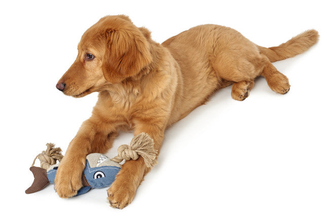 SANSIBAR Lobster Dog toy - Hunter-petstore -upper material 60% cotton, 40% polyester -knotted rope running through the toy -washable at 90 °F