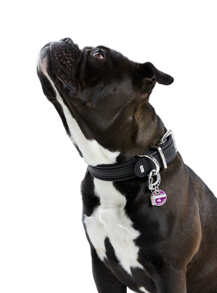 Snap Hook EASY CHANGE - Hunter-petstore -innovative extra carabiner for collar, harness and leash -easily replace up to four dog tags and fobs -robust, durable and versatile -innovative design -easy to use