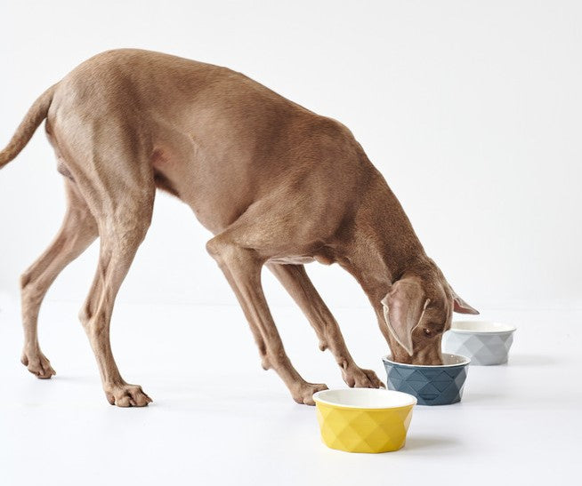 EIBY Ceramic Bowl - Hunter-petstore -ceramic feeding and water bowl -modern diamond design -weighty design for stability -anti-slip silicone ring on base -dishwasher safe -food safe