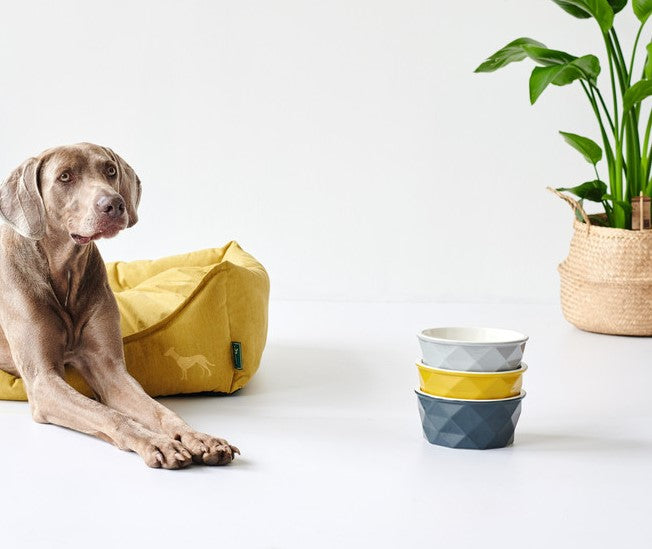 EIBY Ceramic Bowl - Hunter-petstore -ceramic feeding and water bowl -modern diamond design -weighty design for stability -anti-slip silicone ring on base -dishwasher safe -food safe