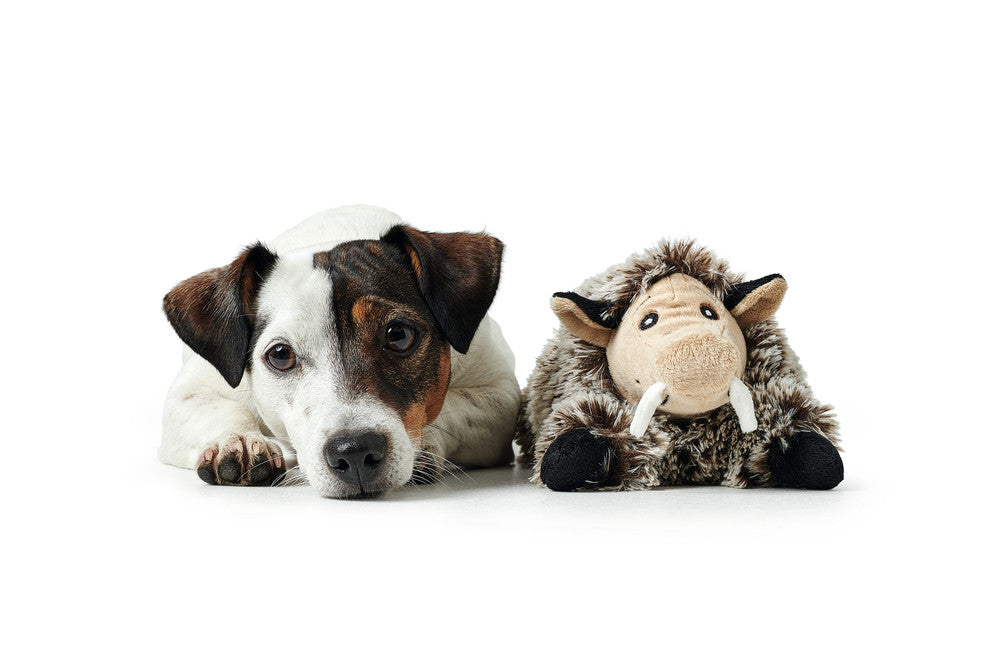 FARO Wild boar Dog toy - Hunter-petstore -polyester -without squeaker -particularly soft -hand wash