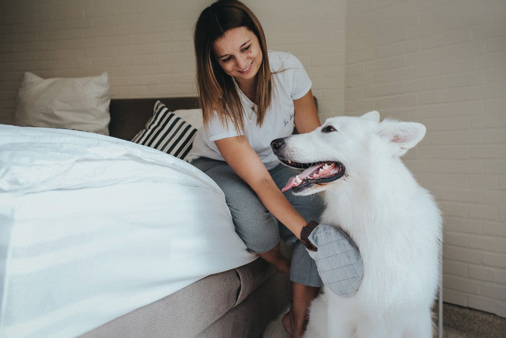Grooming Glove SPA - Hunter-petstore -care glove for all types of fur -wash and massage your dog at the same time -features an opening for adding shampoo -fabric surface to remove hairs from clothes and furniture -universal glove size
