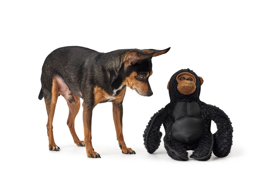 KAMERUN Gorilla Dog toy - Hunter-petstore -cute dog toy to play, cuddle and love -funny look for exciting fun -the shape makes it easy to pick up and retrieve -with reinforced seams for more stability -animating mix of materials, including cuddly plush fabric -11.4 in