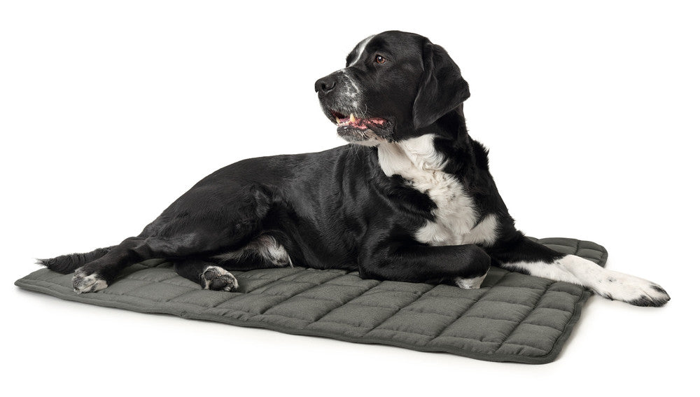 HAMILTON Blanket - Hunter-petstore - Upgrade your dog's comfort in his bed or cover your dog's favorite spot on your couch with it. - Perfect for taking with you when you travel together. - Washable at high temperature 203°F - Quilted cotton blend material is soft and lightly padded. - Blanket is perfectly flexible, allowing you to roll it up and save space when not in use.