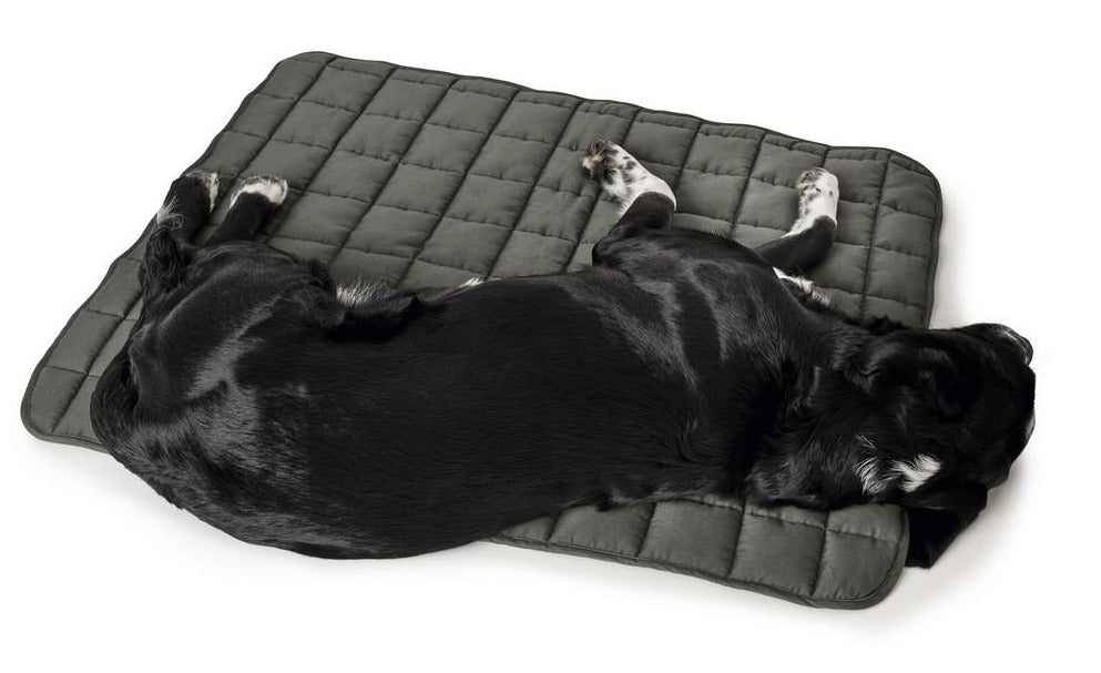 HAMILTON Blanket - Hunter-petstore - Upgrade your dog's comfort in his bed or cover your dog's favorite spot on your couch with it. - Perfect for taking with you when you travel together. - Washable at high temperature 203°F - Quilted cotton blend material is soft and lightly padded. - Blanket is perfectly flexible, allowing you to roll it up and save space when not in use.