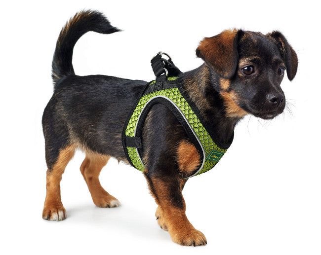 HILO Comfort Harness - Hunter-petstore -lightweight harness for small to medium and head-shy dogs -easy to put on with only one buckle and Velcro closure -optimum freedom of movement -nylon edging with highly reflective piping -soft, air-permeable and breathable -cooling effect possible with the help of water -easy-care and quick-drying