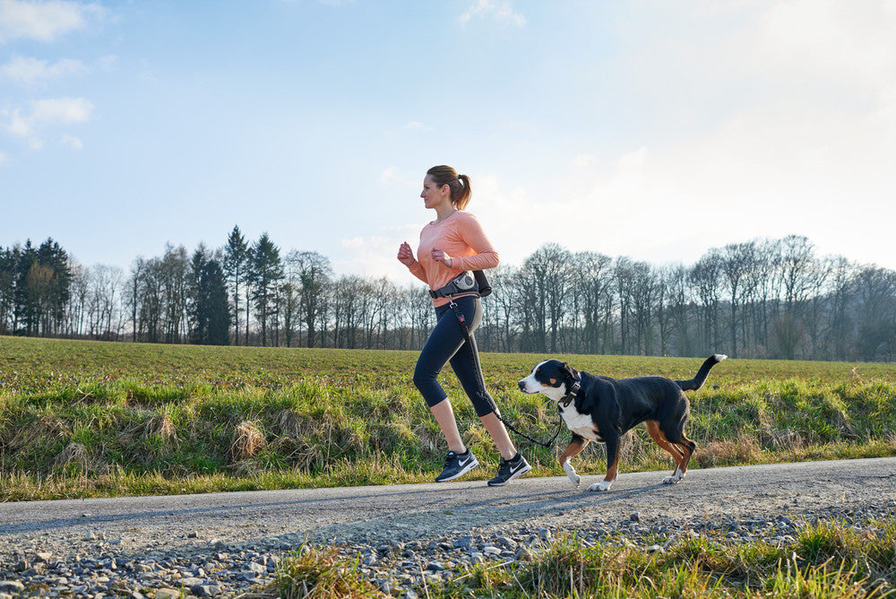 JASPER Jogging belt - Hunter-petstore -ergonomic bag for sporting activities with the dog -individually adjustable to your own waist circumference (up to 3'11¼­˝ ) -with elastic, infinitely adjustable lead (up to 3'10 1⁄16˝, without pull) -with safety buckle and wrist loop with soft neoprene padding -with slide-in and zipped pockets for keys, water bottle and co. -reflective elements for optimum visibility -easy to clean: simply wash off