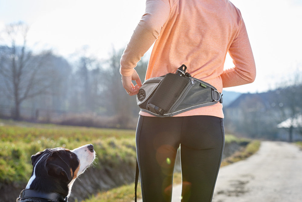 JASPER Jogging belt - Hunter-petstore -ergonomic bag for sporting activities with the dog -individually adjustable to your own waist circumference (up to 3'11¼­˝ ) -with elastic, infinitely adjustable lead (up to 3'10 1⁄16˝, without pull) -with safety buckle and wrist loop with soft neoprene padding -with slide-in and zipped pockets for keys, water bottle and co. -reflective elements for optimum visibility -easy to clean: simply wash off