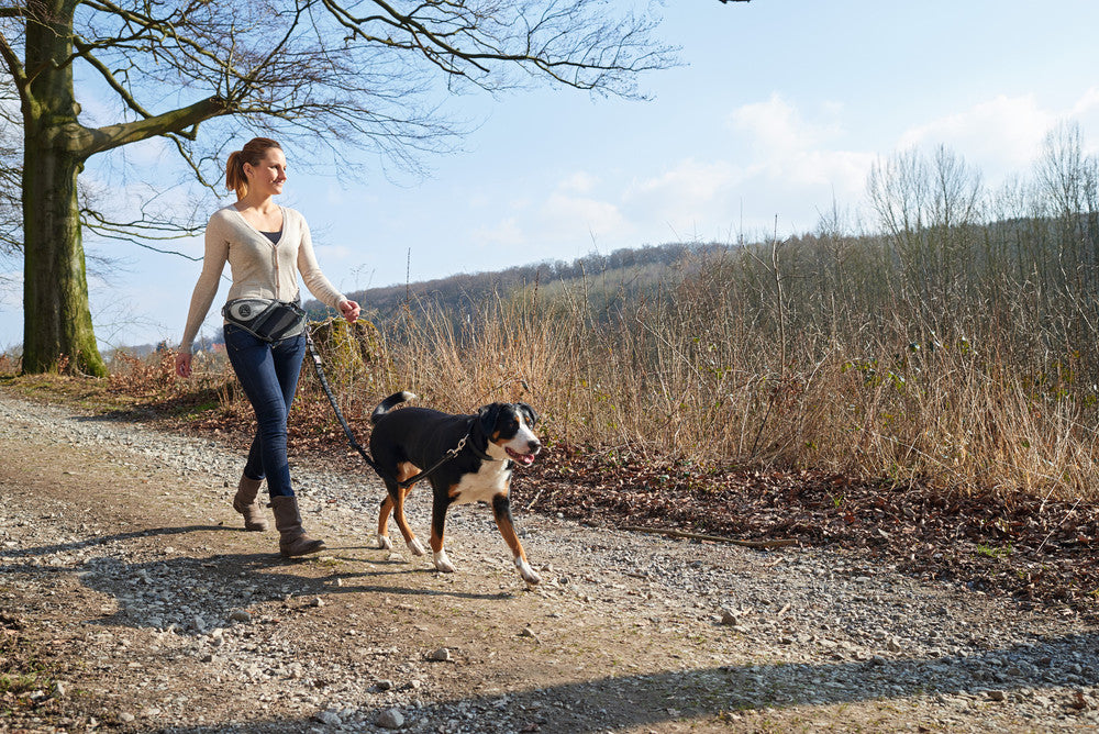 JASPER Jogging belt - Hunter-petstore -ergonomic bag for sporting activities with the dog -individually adjustable to your own waist circumference (up to 3'11¼­˝ ) -with elastic, infinitely adjustable lead (up to 3'10 1⁄16˝, without pull) -with safety buckle and wrist loop with soft neoprene padding -with slide-in and zipped pockets for keys, water bottle and co. -reflective elements for optimum visibility -easy to clean: simply wash off