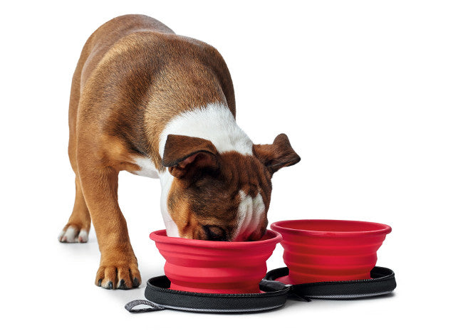 LIST Travel Bowls - Hunter-petstore -foldable food and drink bowl with pocket and zipper -ideal for traveling and on the road -silicone material -small packing size -easy to clean and dishwasher-safe