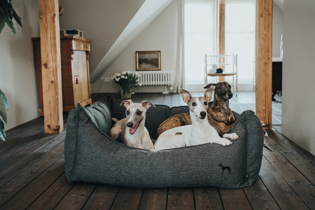 LIVINGSTON Sofa - Hunter-petstore -Cozy dog sofa with robust structured fabric -Elegant-classic design, with fine HUNTER embroidery -A high rim can support the dog's sense of security -Bulky filling and pleasantly soft feel -Per zipper removable cover -Cover washable at 140 °F