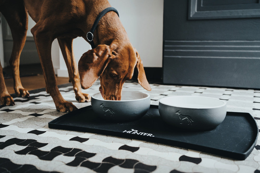 LUND Ceramic Bowl - Hunter-petstore -feeding or drinking bowl made of ceramic -subtle HUNTER dog embossing -high weight ensures a secure stand -slip-resistant silicone rim on the bottom -long-lasting and scratch resistant -food safe and dishwasher-safe