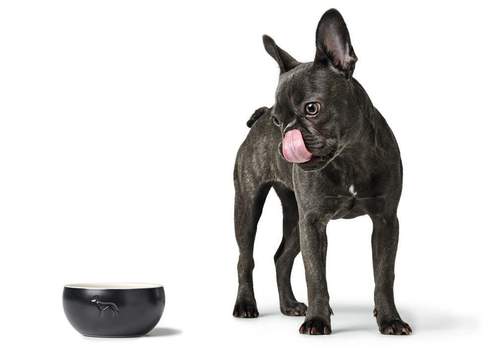 LUND Ceramic Bowl - Hunter-petstore -feeding or drinking bowl made of ceramic -subtle HUNTER dog embossing -high weight ensures a secure stand -slip-resistant silicone rim on the bottom -long-lasting and scratch resistant -food safe and dishwasher-safe