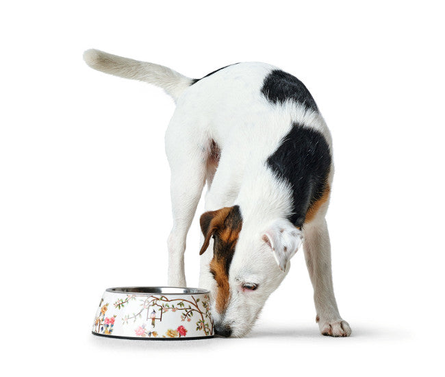 MOGAMI Bowl - Hunter-petstore -feeding or drinking bowl with melamine -with removable stainless steel bowl -asian-style design -slip-resistant rubber rim on the bottom -long-lasting, shock and scratch resistant -easy to clean and dishwasher safe -food safe
