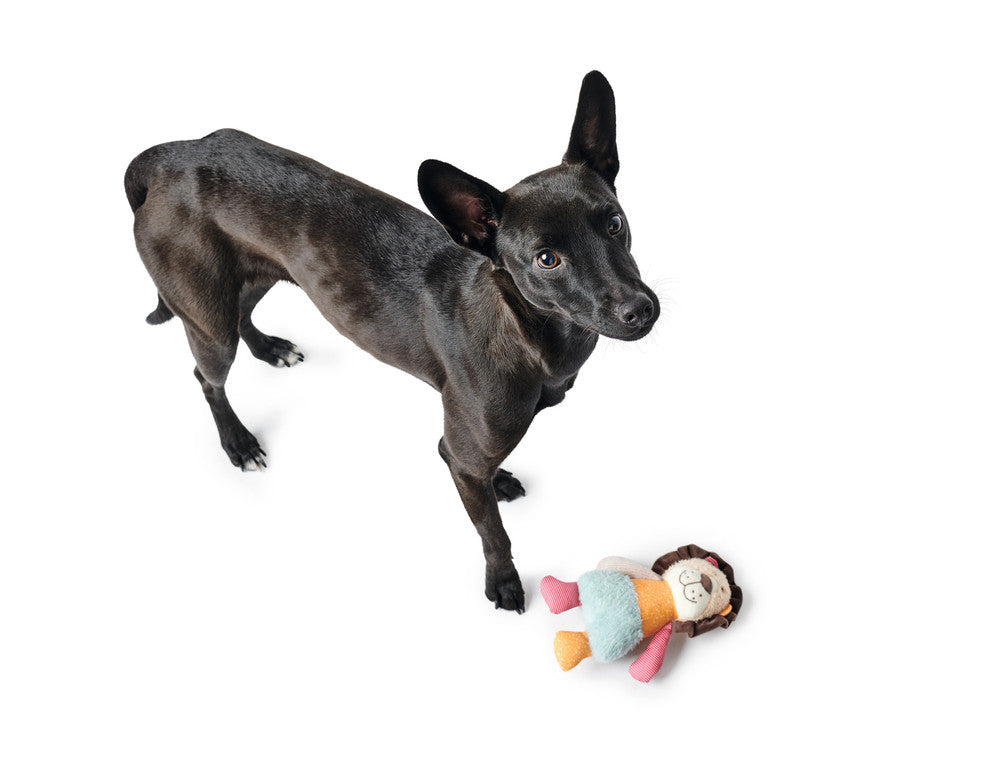 MULI Lion Dog toy - Hunter-petstore -ideal for puppies and dogs that like to cuddle -with squeaker -washable at 86 °F -7.1 in