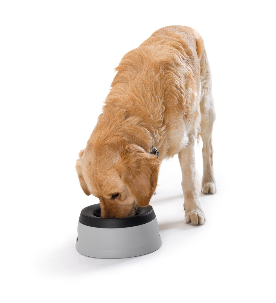 REFRESHER Travel non-spill Bowl - Hunter-petstore -Bowl for traveling with anti-sloshing function -Useable during the journey -Velcro device on the base of the bowl ensures a secure stand -Easy to take apart and put together -Easy to clean and dishwasher-safe -Food safe