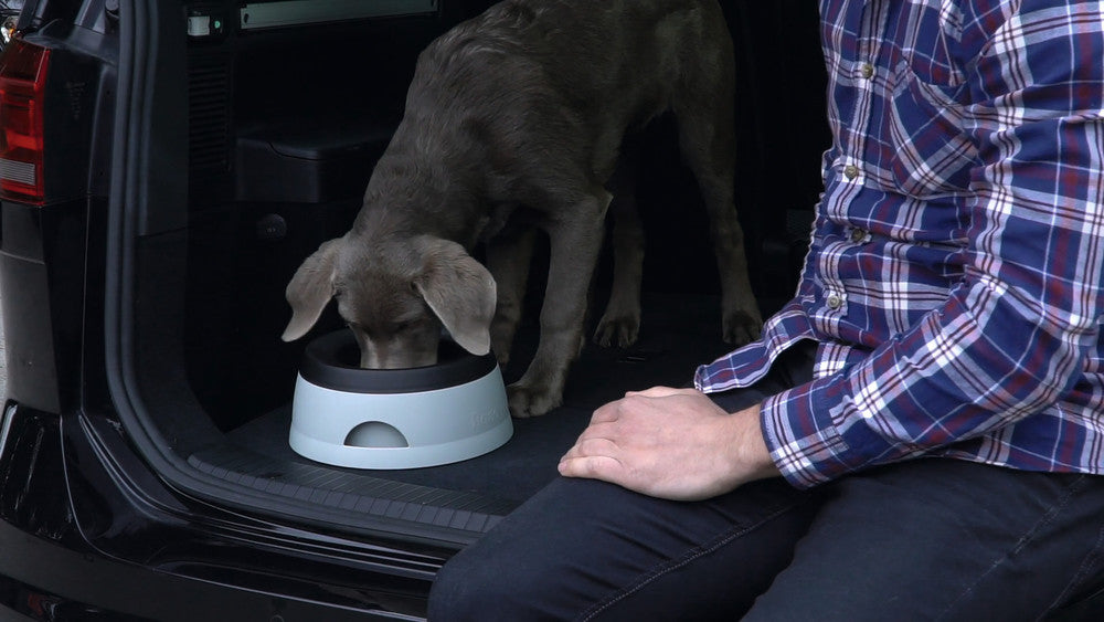 REFRESHER Travel non-spill Bowl - Hunter-petstore -Bowl for traveling with anti-sloshing function -Useable during the journey -Velcro device on the base of the bowl ensures a secure stand -Easy to take apart and put together -Easy to clean and dishwasher-safe -Food safe