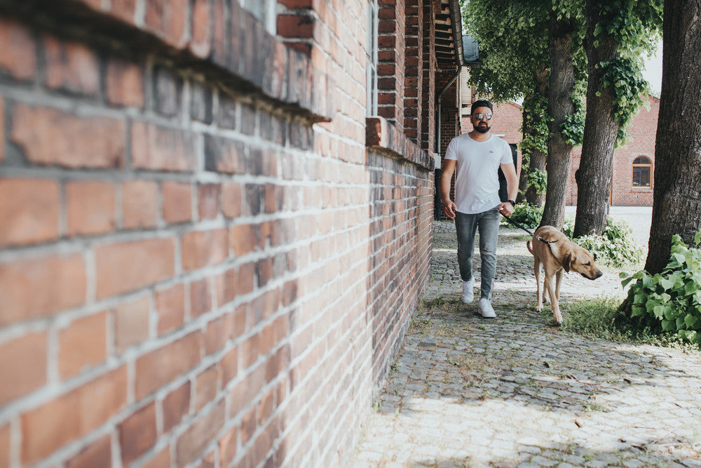 Short Lead SOLID EDUCATION - Hunter-petstore -cow leather-rounded edges-hand-braided-snap-hook plaited into the leather-made in Germany