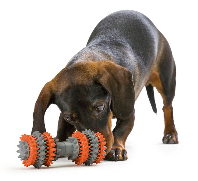 TOOTH CLEANER Dog toy - Hunter-petstore -activity toy for small to medium sized dogs -can be filled with snacks -offers playful gum massage and teeth cleaning -can be easily picked up and retrieved -easy care: simply washable -5.51 in