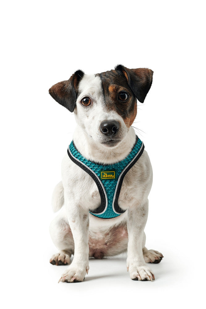HILO Comfort Harness - Hunter-petstore -lightweight harness for small to medium and head-shy dogs -easy to put on with only one buckle and Velcro closure -optimum freedom of movement -nylon edging with highly reflective piping -soft, air-permeable and breathable -cooling effect possible with the help of water -easy-care and quick-drying